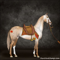 Horse Color:Gray Gold Champagne 