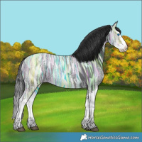 Horse Color:Black Ice Splash 