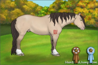 Horse Color:Amber Champagne Dun 