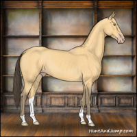 Horse Color:Amber Cream Champagne Roan 