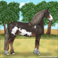 Horse Color:Liver Chestnut Frame