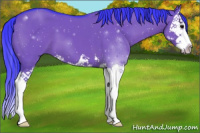 Horse Color:Watercolor Grullo Splash 