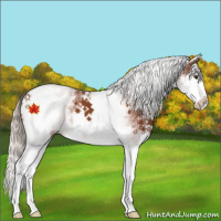 Horse Color:White Spotted Silver Brown Splash 