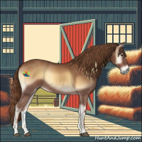 Horse Color:Red Onyx 