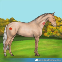 Horse Color:Silver Bay Roan Pearl 