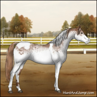 Horse Color:White Spotted Chestnut Tobiano Snowcap 