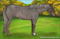 Horse Color:Liver Red Roan Mushroom 
