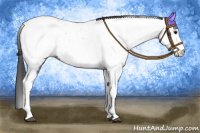Horse Color:Blue Roan Tobiano Frame Appaloosa