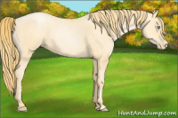 Horse Color:Buckskin Roan Pearl 