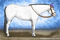 Horse Color:Black Tobiano Appaloosa 