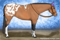 Horse Color:Bay Roan Tobiano Blanket 