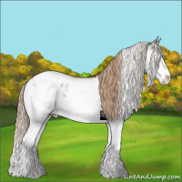 Horse Color:Chestnut Sabino Appaloosa 