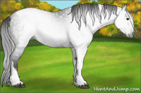 Horse Color:Gray Brown Tobiano Rabicano 