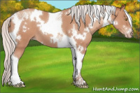 Horse Color:White Spotted Silver Sable Champagne Tobiano 
