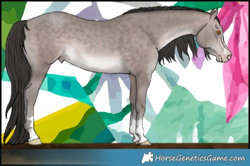 Horse Color:Platinum Sable Champagne