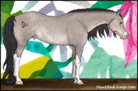 Horse Color:Platinum Sable Champagne 