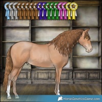 Horse Color:Brown Pearl 