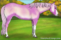Horse Color:Watercolor Silver Brown Onyx