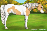Horse Color:Silver Buckskin Sabino Tobiano