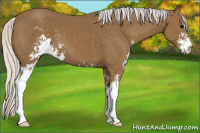 Horse Color:Silver Smoky Black Sabino 