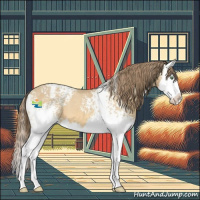 Horse Color:White Spotted Amber Cream Champagne Splash Appaloosa 