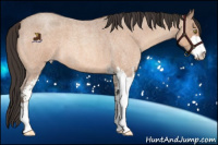 Horse Color:Sable Champagne Roan Sabino 
