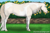 Horse Color:Perlino Dun Tobiano 