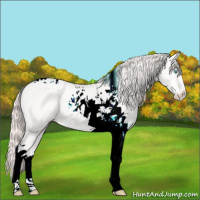 Horse Color:Perlino Tobiano 