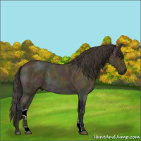 Horse Color:Midnight Buckskin Ice Roan 