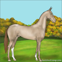 Horse Color:Smoky Black Pearl 