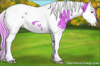 Horse Color:Watercolor White Spotted Chestnut Splash Tobiano 