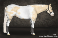 Horse Color:Silver Amber Cream Champagne Dun Tobiano Frame 