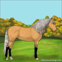 Horse Color:Silver Buckskin 
