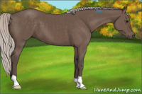 Horse Color:Silver Black 