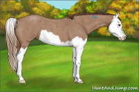 Horse Color:Red Roan Splash 