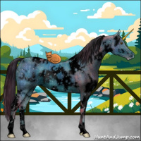 Horse Color:ERROR: UNKNOWN ANOMALY