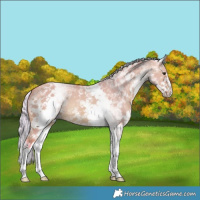 Horse Color:Watercolor White Spotted Silver Bay Dun Splash 