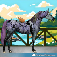 Horse Color:ERROR: UNKNOWN ANOMALY