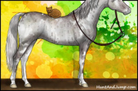 Horse Color:White Spotted Chocolate Silver Grullo Chinchilla Onyx Brindle 