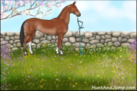 Horse Color:Brown Rabicano 
