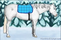 Horse Color:Gold Champagne Pearl Dun Splash Tobiano Appaloosa Rabicano