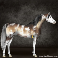 Horse Color:White Spotted Liver Red Onyx Splash Brindle 