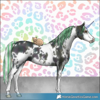 Horse Color:Painted White Spotted Midnight Chocolate Silver Grullo Chinchilla Ice Onyx Sabino Brindle 