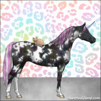 Horse Color:Painted White Spotted Midnight Chocolate Silver Grullo Chinchilla Ice Onyx Brindle