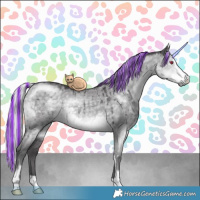 Horse Color:Painted Silver Smoky Grullo Chinchilla Sabino Brindle 