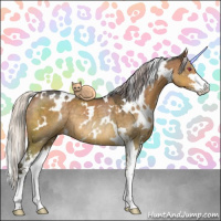 Horse Color:White Spotted Silver Grullo Chinchilla Sabino Rabicano
