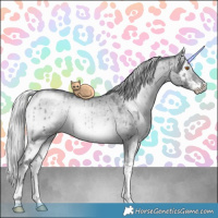 Horse Color:Silver Grullo Chinchilla Onyx Sabino Rabicano Brindle 