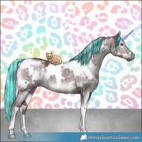 Horse Color:Painted White Spotted Chocolate Silver Grullo Chinchilla Brindle 