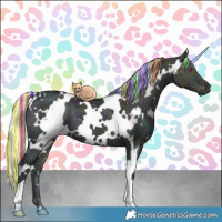 Horse Color:Painted White Spotted Midnight Chocolate Silver Grullo Chinchilla Ice Onyx Brindle 