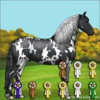 Horse Color:White Spotted Black 